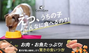 カナガンドッグフードの料金に関する口コミ・評判